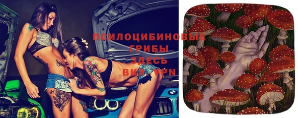 прущие крисы Белоозёрский