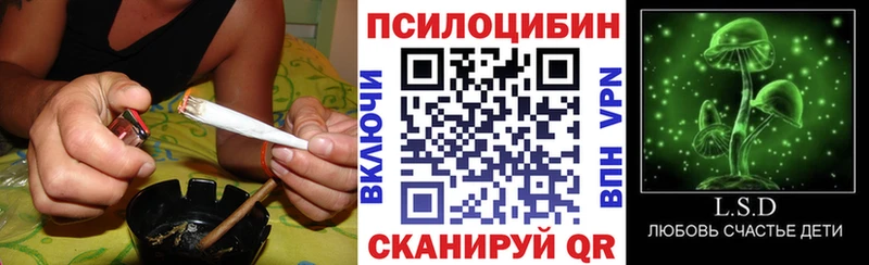 Галлюциногенные грибы ЛСД  Купить где  Орлов 